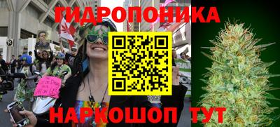 тгк Партизанск