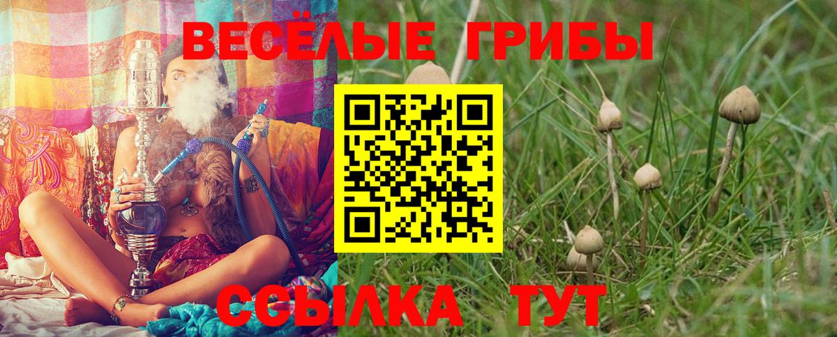 Тихорецк  Псилоцибиновые грибы Cubensis  Псилоцибиновые грибы ЛСД  Вход с VPN 